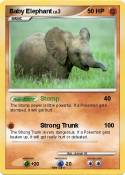 Baby Elephant