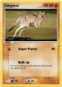 Kangaroo