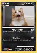 MY CAT