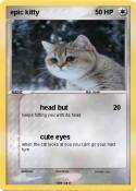 epic kitty