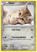 Kitten