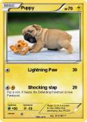 Puppy