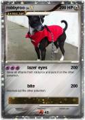 robbyroo