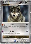 Wolf