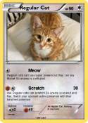 Regular Cat