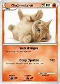 Chaton mignon