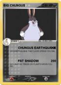 BIG CHUNGUS