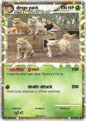 dingo pack