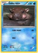babby hippo