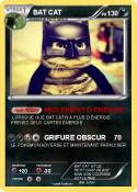 BAT CAT