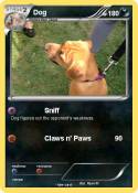 Dog