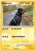 beauceron
