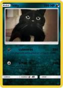 kitty