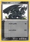 dragon noir
