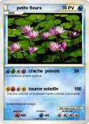 petite fleurs