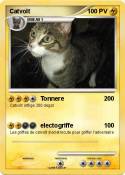 Catvolt