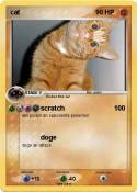 cat