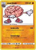 small Brain