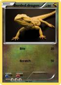 Berded dragon