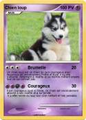 Chien loup
