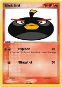 Black Bird