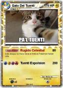 Gato Del Tuenti