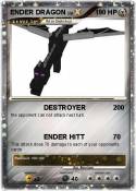 ENDER DRAGON