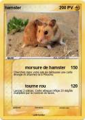 hamster