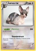 Hairless Cat