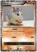 cute rat