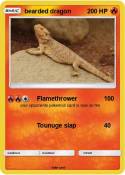 bearded dragon