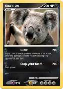 Koala