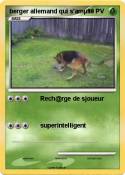 berger allemand