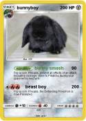 bunnyboy