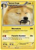 Sensei Doge