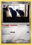 Kittens