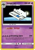 bongo cat