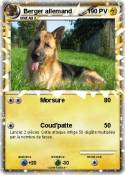 Berger allemand