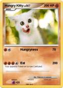 Hungry Kitty