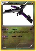 ender dragon