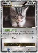 Kitten