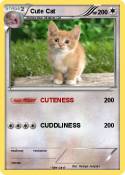 Cute Cat