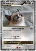 Derpy Cat