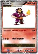 sorcier