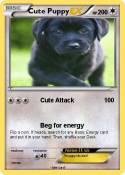 Cute Puppy