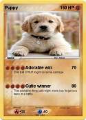 Puppy
