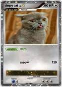 derpy cat