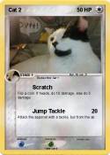 Cat 2