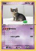 chat