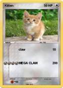 Kitten